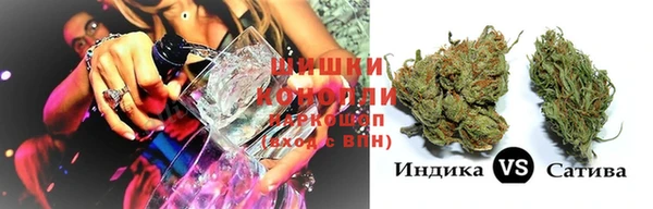 шишки Наволоки