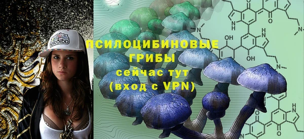 шишки Наволоки