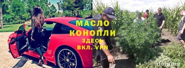 метадон Михайлов