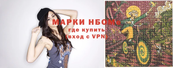 шишки Наволоки