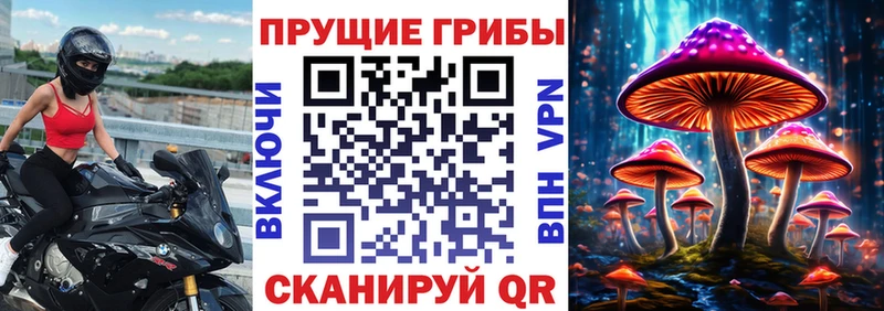 Псилоцибиновые грибы Psilocybe  Купить где  Красноуральск 